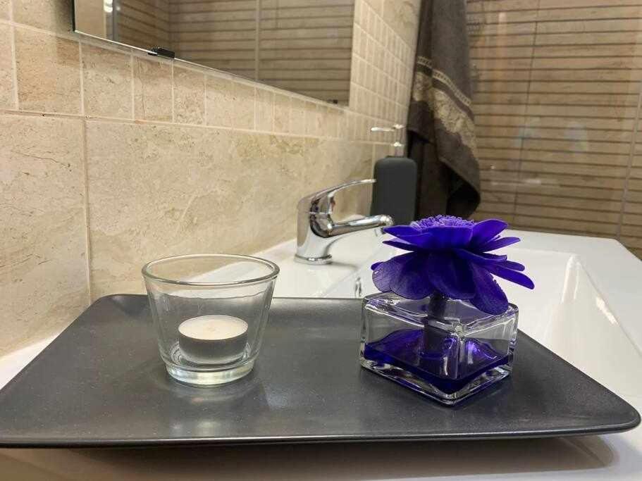 Apartament El Balcon De La Rosa La Puebla de Montalbán Zewnętrze zdjęcie